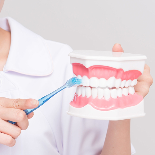 口腔管理体制強化